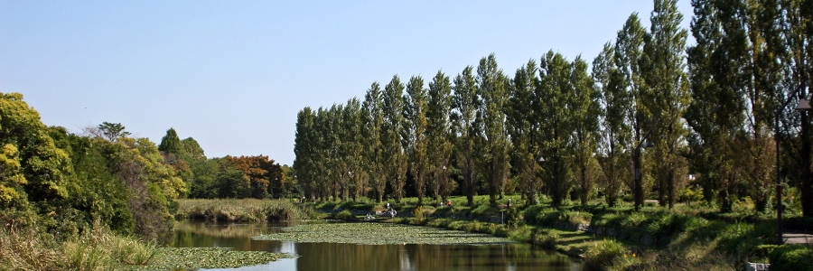 468525.jpg